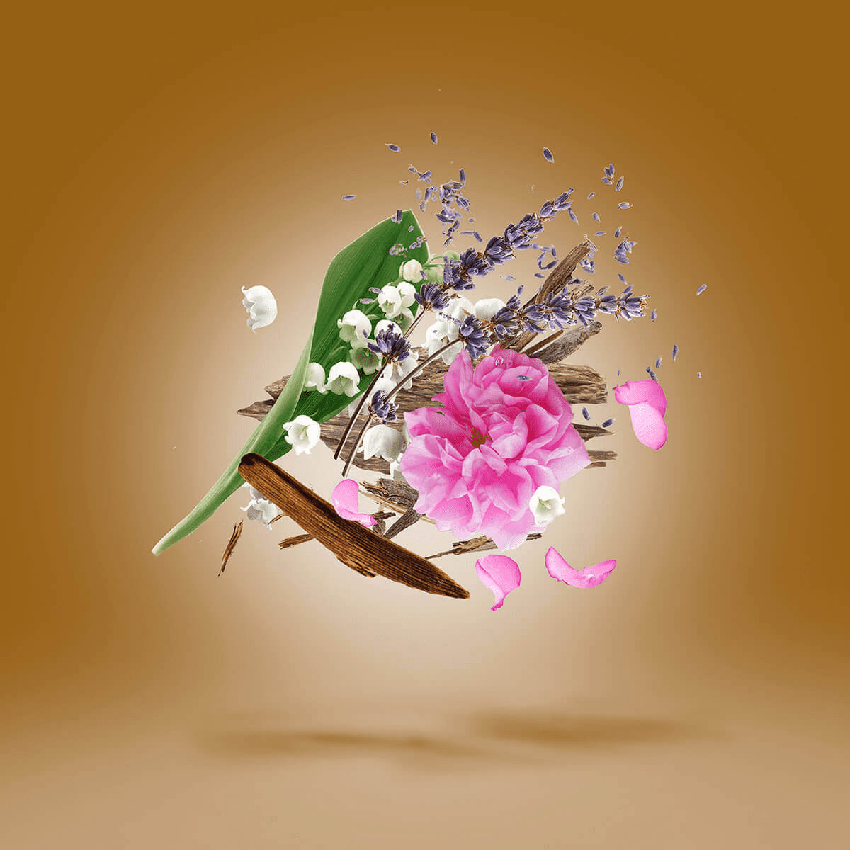 Alexandria II - tryoutyourscent