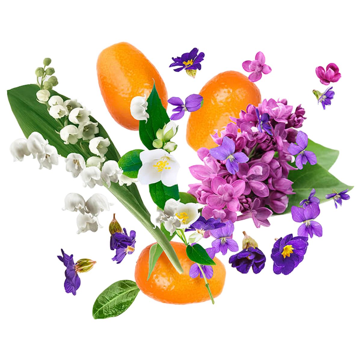 Dama Bianca - tryoutyourscent