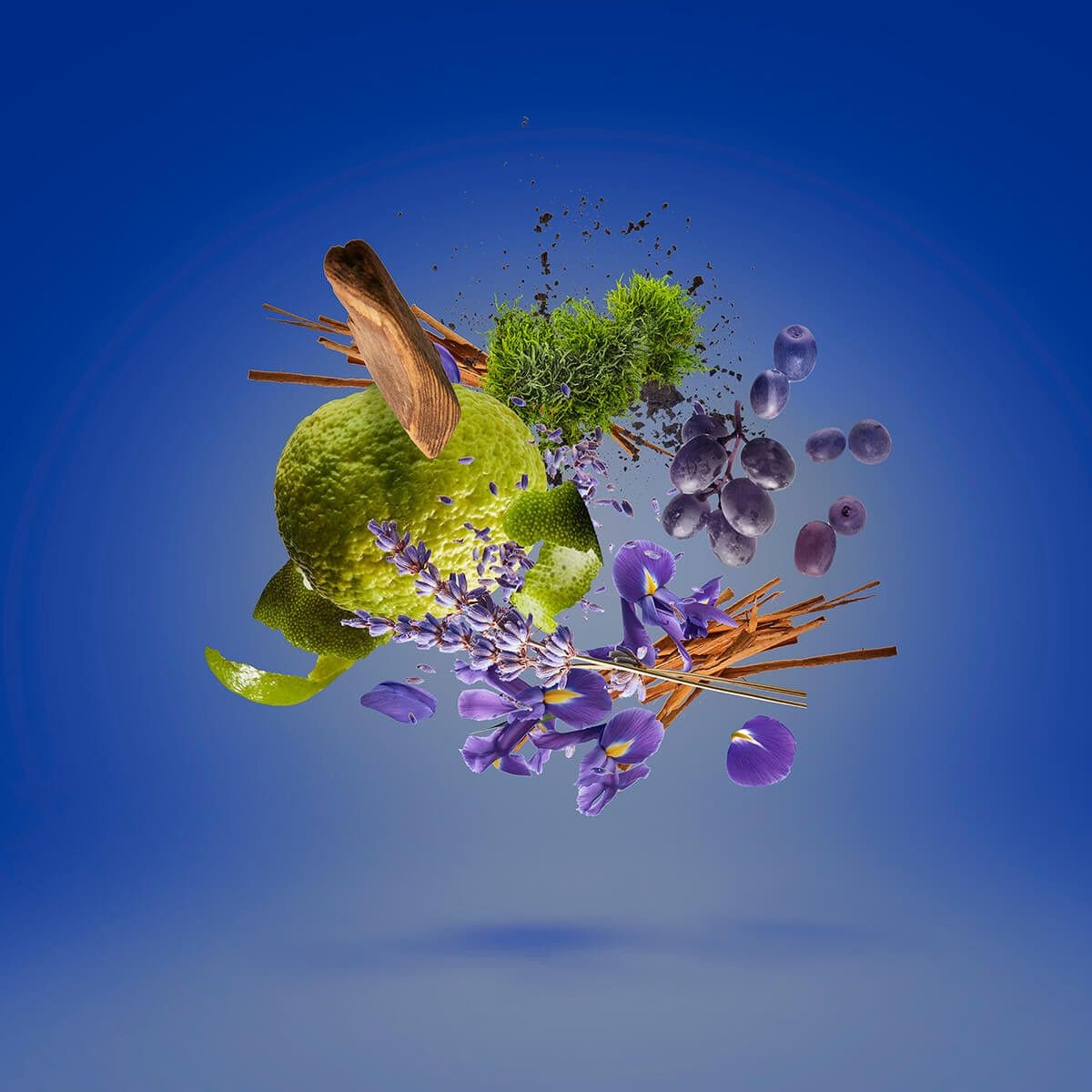 Mefisto - tryoutyourscent