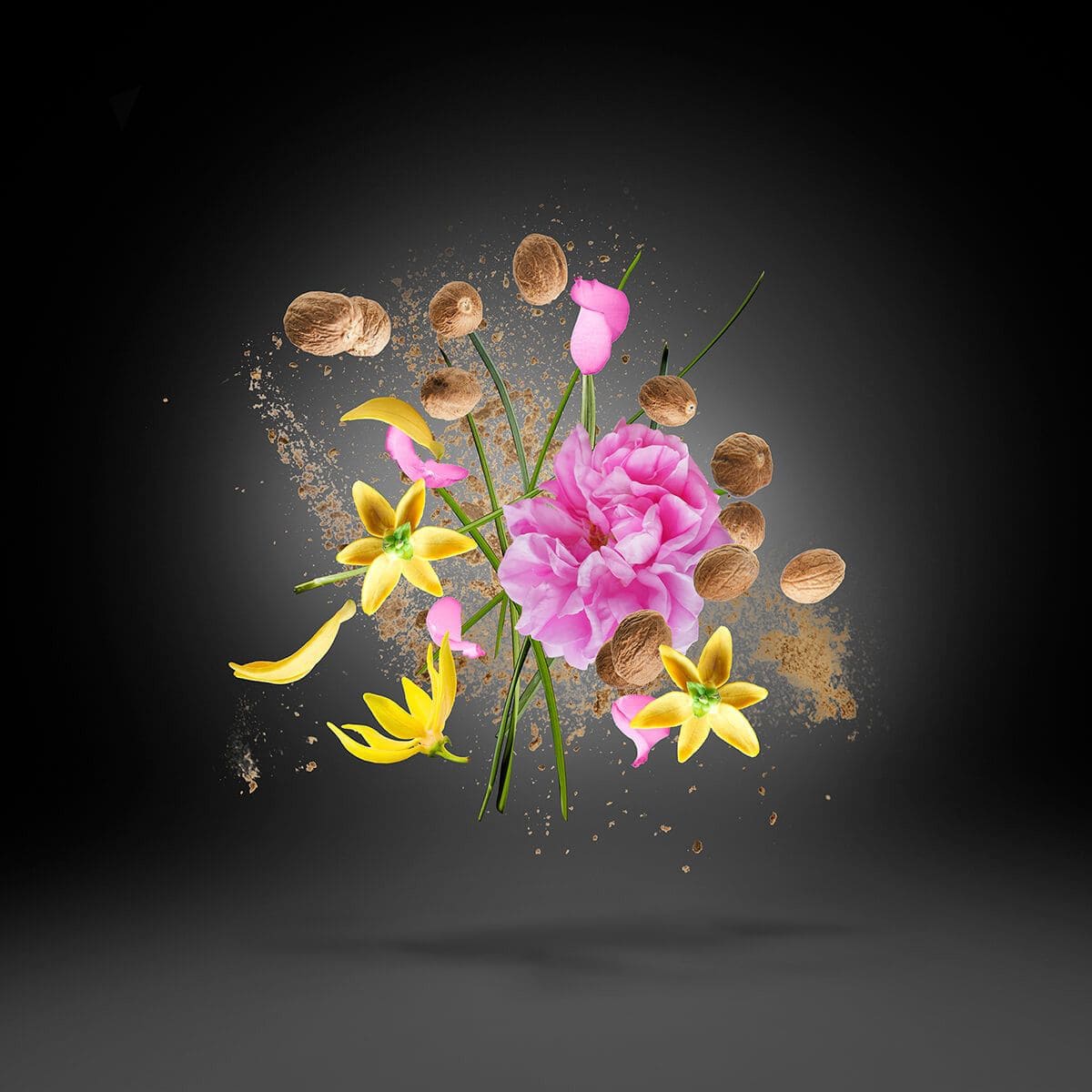 Opera - tryoutyourscent