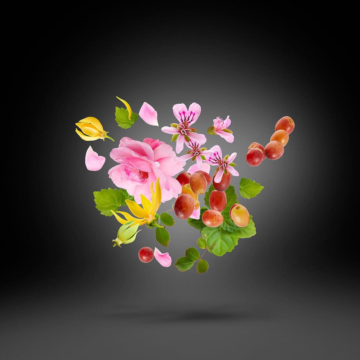 Regio - tryoutyourscent