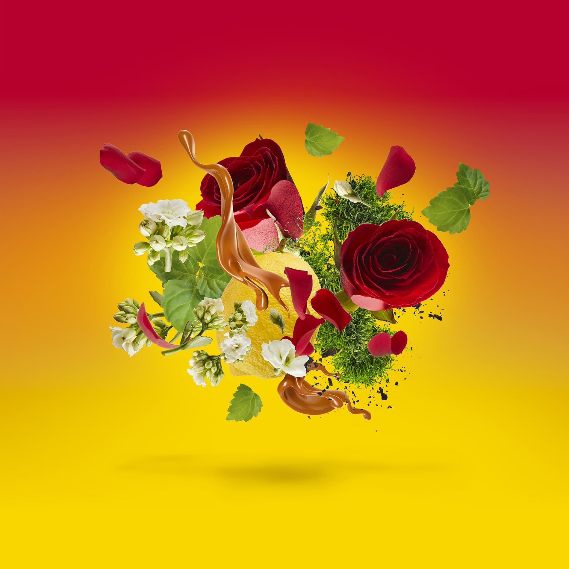 Levar del Sole - tryoutyourscent